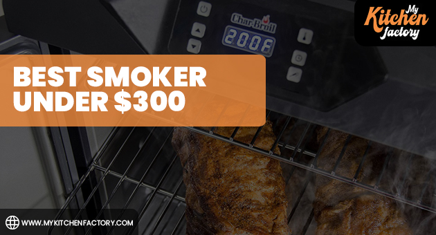 Best Smoker Under $300