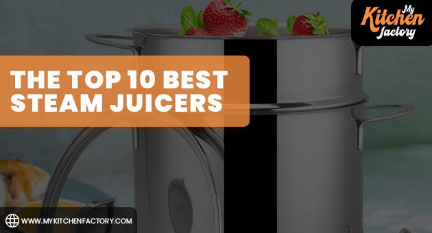 The Top 10 Best Steam Juicers
