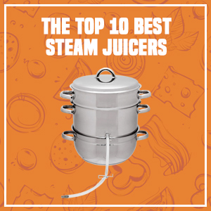 The Top 10 Best Steam Juicers